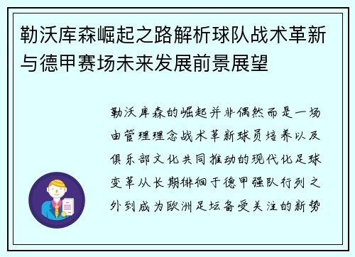 勒沃库森崛起之路解析球队战术革新与德甲赛场未来发展前景展望 勒沃库森崛起之路解析球队战术革新与德甲赛场未来发展前景展望